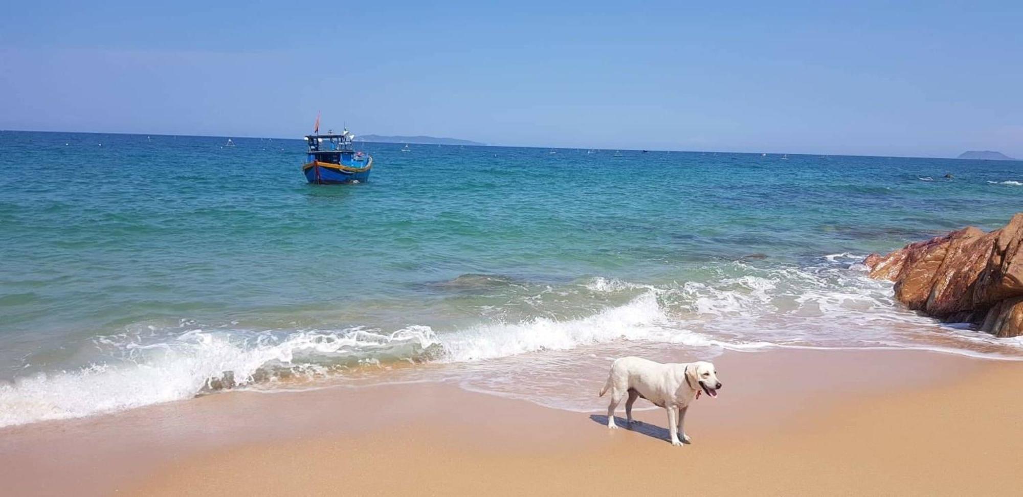 Life'S A Beach Quy Nhon Esterno foto